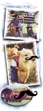 Alpaca Lifestyle