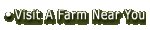 Visit A Farm Near You